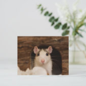 Carte Postale Cute rat (Debout devant)
