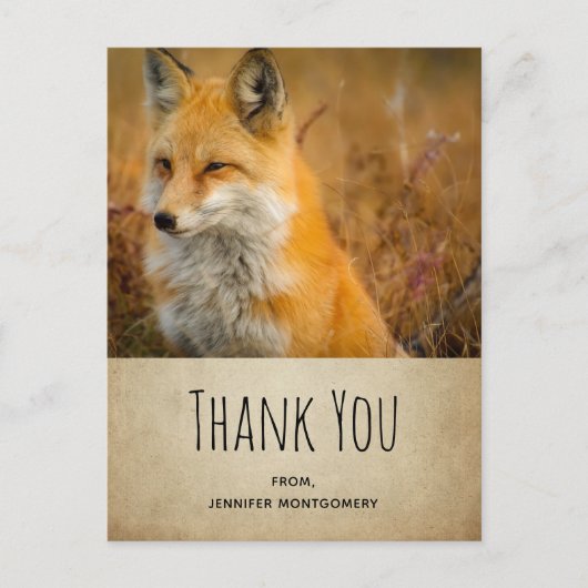 Carte Postale Cute Red Fox Wilderness Nature Photo Merci (Devant)