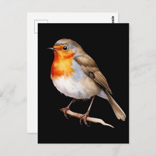Carte Postale Cute Robin (Devant / Derrière)