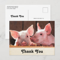 Cute rose Piglets Merci photo animal