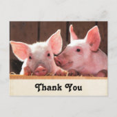 Carte Postale Cute rose Piglets Merci photo animal (Devant)