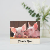Carte Postale Cute rose Piglets Merci photo animal (Debout devant)