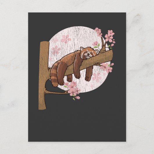 Carte Postale Cute Rouge Panda Nap Lazy Sleeping Animal (Devant)