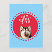 Carte Postale Cute Siberian Husky Joyeux Points rouges bleus d'a (Devant)