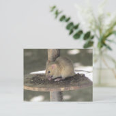 Carte Postale Cute Souris Sneaking a Repas (Debout devant)