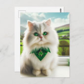 Carte Postale Cute St Patricks Day Chat Fluffy Blanc Chat (Devant / Derrière)