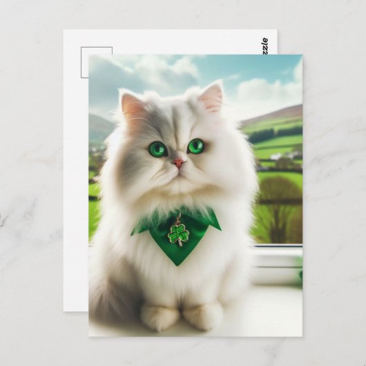 Carte Postale Cute St Patricks Day Chat Fluffy Blanc Chat (Devant / Derrière)