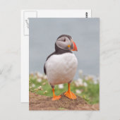 Carte Postale Cute Standing Puffin (Devant / Derrière)