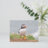 Carte Postale Cute Standing Puffin (Debout devant)