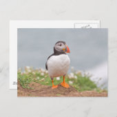 Carte Postale Cute Standing Puffin (Devant / Derrière)
