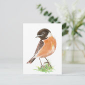 Carte Postale Cute Stonechat, Aquarelle collection d'oiseaux (Debout devant)