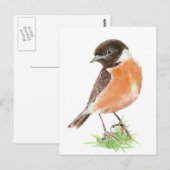 Carte Postale Cute Stonechat, Aquarelle collection d'oiseaux (Devant / Derrière)