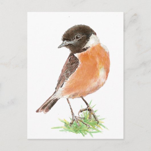 Carte Postale Cute Stonechat, Aquarelle collection d'oiseaux (Devant)