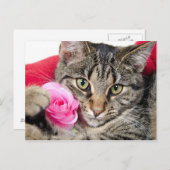 Carte Postale Cute Tabby Chat Avec Rose (Devant / Derrière)