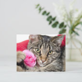 Carte Postale Cute Tabby Chat Avec Rose (Debout devant)