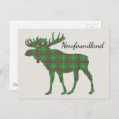 Carte postale Cute Tartan moose Terre-Neuve (Devant / Derrière)