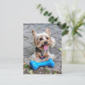 Carte Postale Cute Terrier (Debout devant)