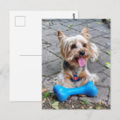 Carte Postale Cute Terrier (Devant / Derrière)