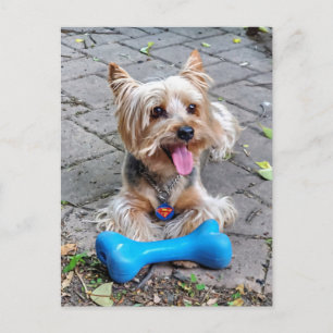 Carte Postale Cute Terrier