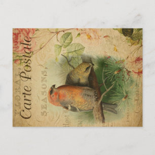 Carte Postale Cute Vintage Ephemera Gosbeak Oiseaux Floral Franç