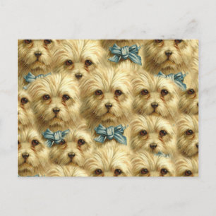 Carte Postale Cute Vintage Pedigree Chien Terrier Portrait Colla