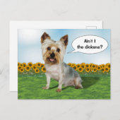 Carte Postale Cute Yorkie avec des tournesols (Devant / Derrière)