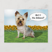 Carte Postale Cute Yorkie avec des tournesols (Devant)