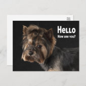Carte Postale Cute Yorkie Chien Chien Chien Chien Aimer Yorkshir (Devant / Derrière)