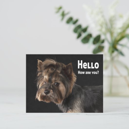 Carte Postale Cute Yorkie Chien Chien Chien Chien Aimer Yorkshir (Debout devant)