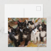 Carte Postale Cutest Baby Animals | Black & White Kittens (Devant / Derrière)