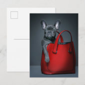 Carte Postale Cutest Baby Animals | French Bulldog in Handbag (Devant / Derrière)