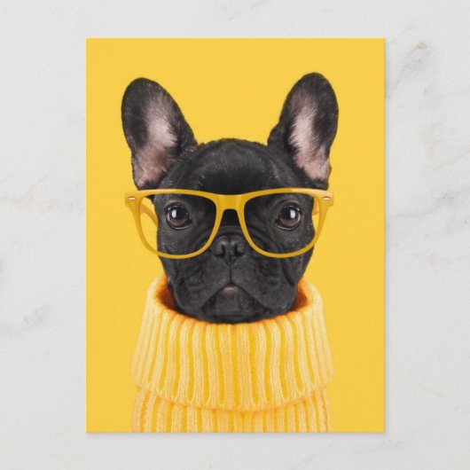 Carte Postale Cutest Baby Animals | French Bulldog Sunglasses (Devant)