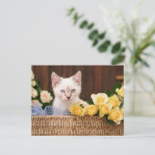 Carte Postale Cutest Baby Animals | Kitten & Yellow Roses (Debout devant)