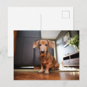 Carte Postale Cutest Baby Animals | Mini Dachshund Puppy (Devant / Derrière)