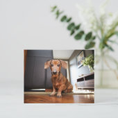 Carte Postale Cutest Baby Animals | Mini Dachshund Puppy (Debout devant)
