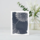 Carte Postale Cyanotype café Dandalion (Debout devant)