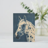 Carte Postale cyanotype léopard Appaloosa (Debout devant)