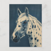 Carte Postale cyanotype léopard Appaloosa (Devant)