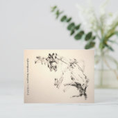 Carte Postale cyberespace boogers 1192012 (Debout devant)