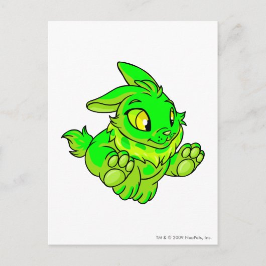 Carte Postale Cybunny brillant (Devant)