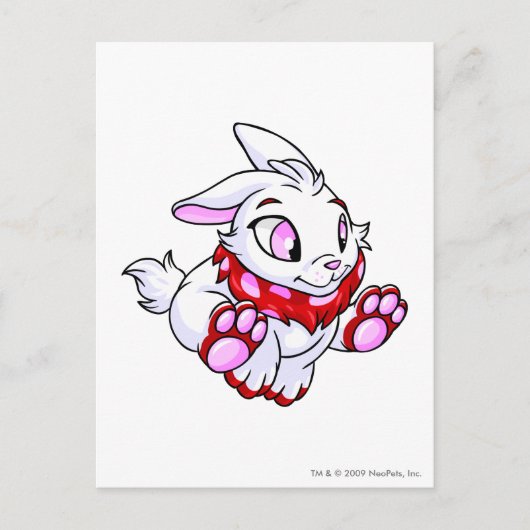 Carte Postale Cybunny rouge (Devant)