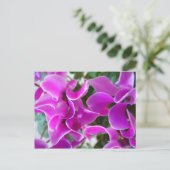 Carte Postale cyclamen (Debout devant)