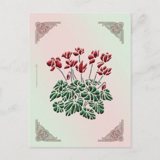 Carte postale Cyclamen (Devant)