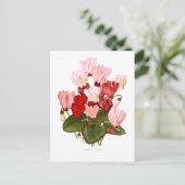 Carte Postale Cyclamens (Debout devant)