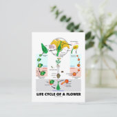 Carte Postale Cycle De Vie D'Une Fleur (Angiosperme) (Debout devant)
