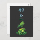 Carte Postale Cycle de vie Grenouille Métamorphose Oeuf Tadpole  (Devant / Derrière)