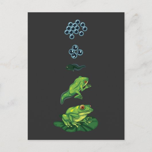 Carte Postale Cycle de vie Grenouille Métamorphose Oeuf Tadpole  (Devant)