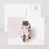 Carte Postale cycle jaune noah (Devant / Derrière)