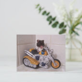 Carte Postale cycle noah (Debout devant)