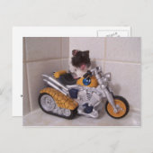 Carte Postale cycle noah (Devant / Derrière)